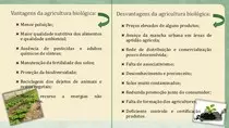 imagens/imagem5.jpg