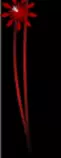 img1.gif
