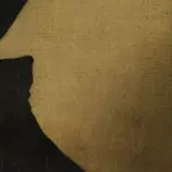 Tema6/puzzle/rafael_6.jpg