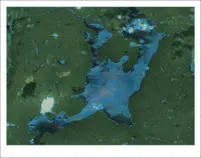 img/carte1.png