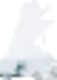 img/f1.png