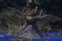 img/forward_t.gif