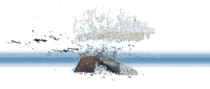img/quait2.png