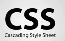 css.jpeg