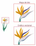 Modulo2TareaObligatoria/ejemplo_bits_vs_vectorial.gif