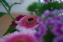 assets/img/images/IMG_2410.jpg