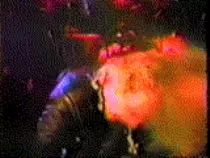 assets/images/1.gif