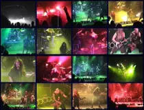 assets/images/9904102.jpg