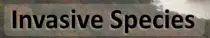 index/inv_button.jpg