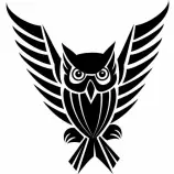 owl.jpg