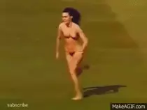 streak1.gif