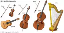stringinstruments.jpg