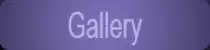 images/index_08.png