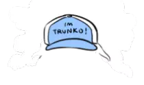 dressup/hat1.png