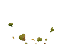 nest/ginkgo.png