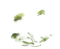 nest/moss.png
