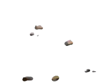 nest/pebbles.png
