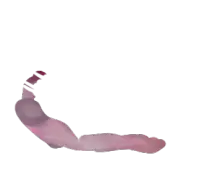 nest/sweater.png