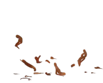 nest/wicker.png