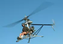resources/mosquitoFlight.jpg
