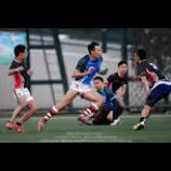 individual/acl2.png