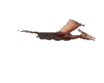 img/gifs/dpte3.gif