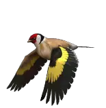 img/gifs/e68x3d.gif