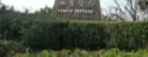 data1/images/tower.jpg