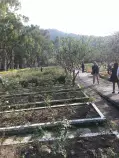 jpg images/jpg images/Plantation.jpg
