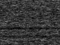 static.gif