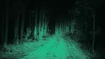 bosc.jpg