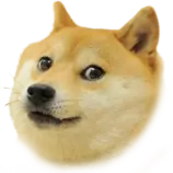 doge.png