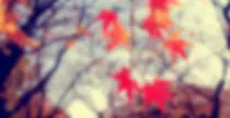 modulo_2/style/images/bg/6.jpg