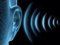 images/ear4.jpg