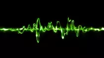 images/ear5.jpg