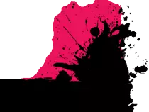 img/footer.gif