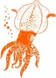 images/squid.jpg