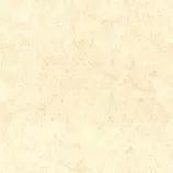 parchment1.gif