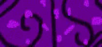 po.gif