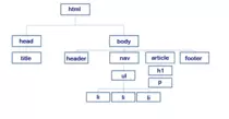 arbol.png