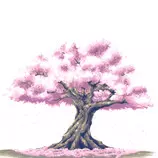 posts/pics/cherry-blossom.jpg