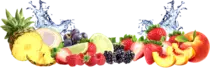 bot-fruit.png