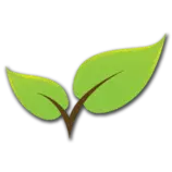 leaves_favicon.png