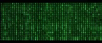 gii.gif