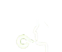 chiquitos/imgs/verde.png