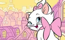 img/kitten-xxlarge.jpg