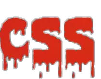 CSS.png