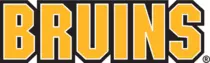bruinslogo.png