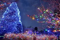 christmas tree xmas.jpg