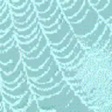 web.gif